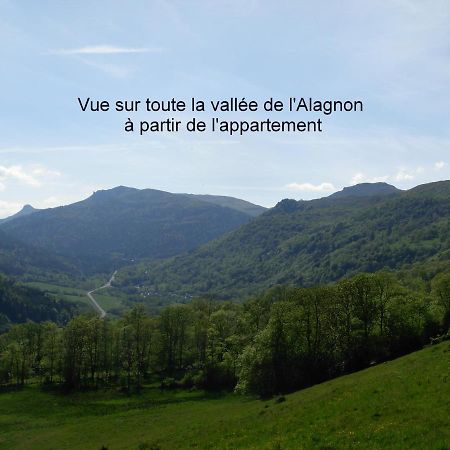 Vacances au pied des Monts du Cantal Laveissière Extérieur photo