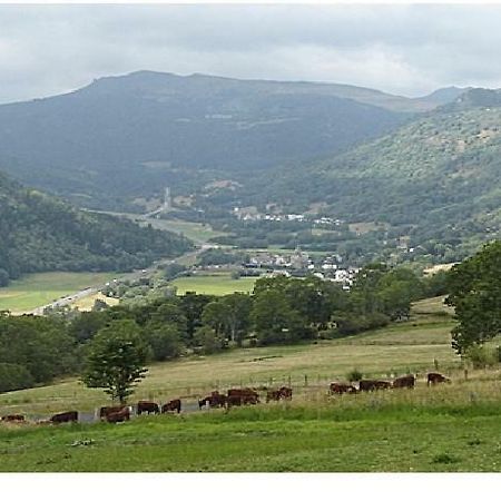 Vacances au pied des Monts du Cantal Laveissière Extérieur photo