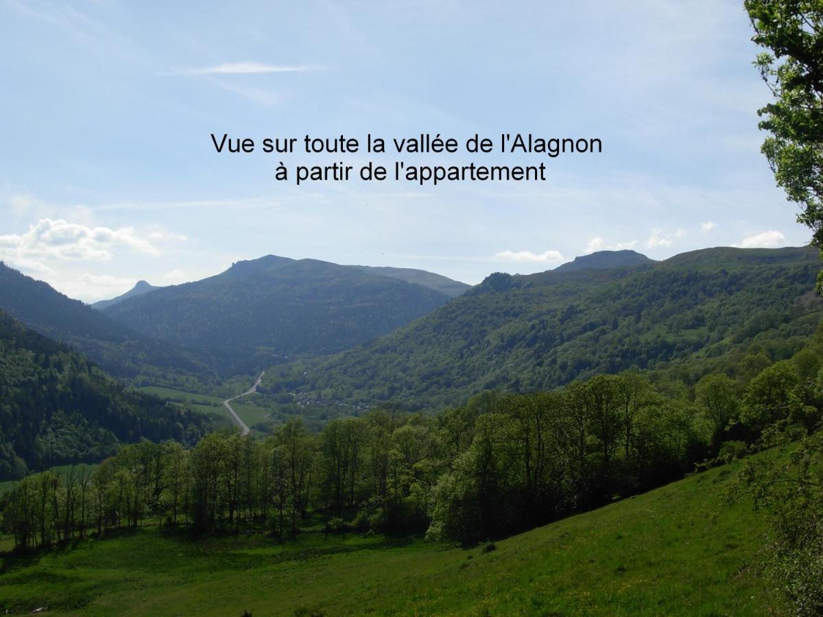 Vacances au pied des Monts du Cantal Laveissière Extérieur photo