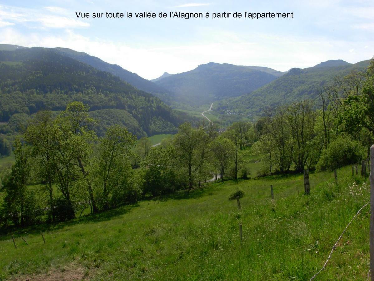 Vacances au pied des Monts du Cantal Laveissière Extérieur photo