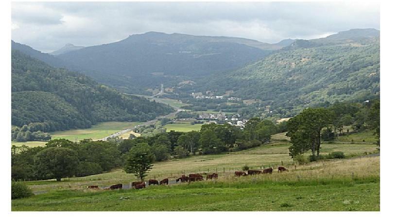 Vacances au pied des Monts du Cantal Laveissière Extérieur photo